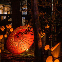 美夜子先生